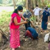 ‘Haritha Deyak’ National Home Gardening Program